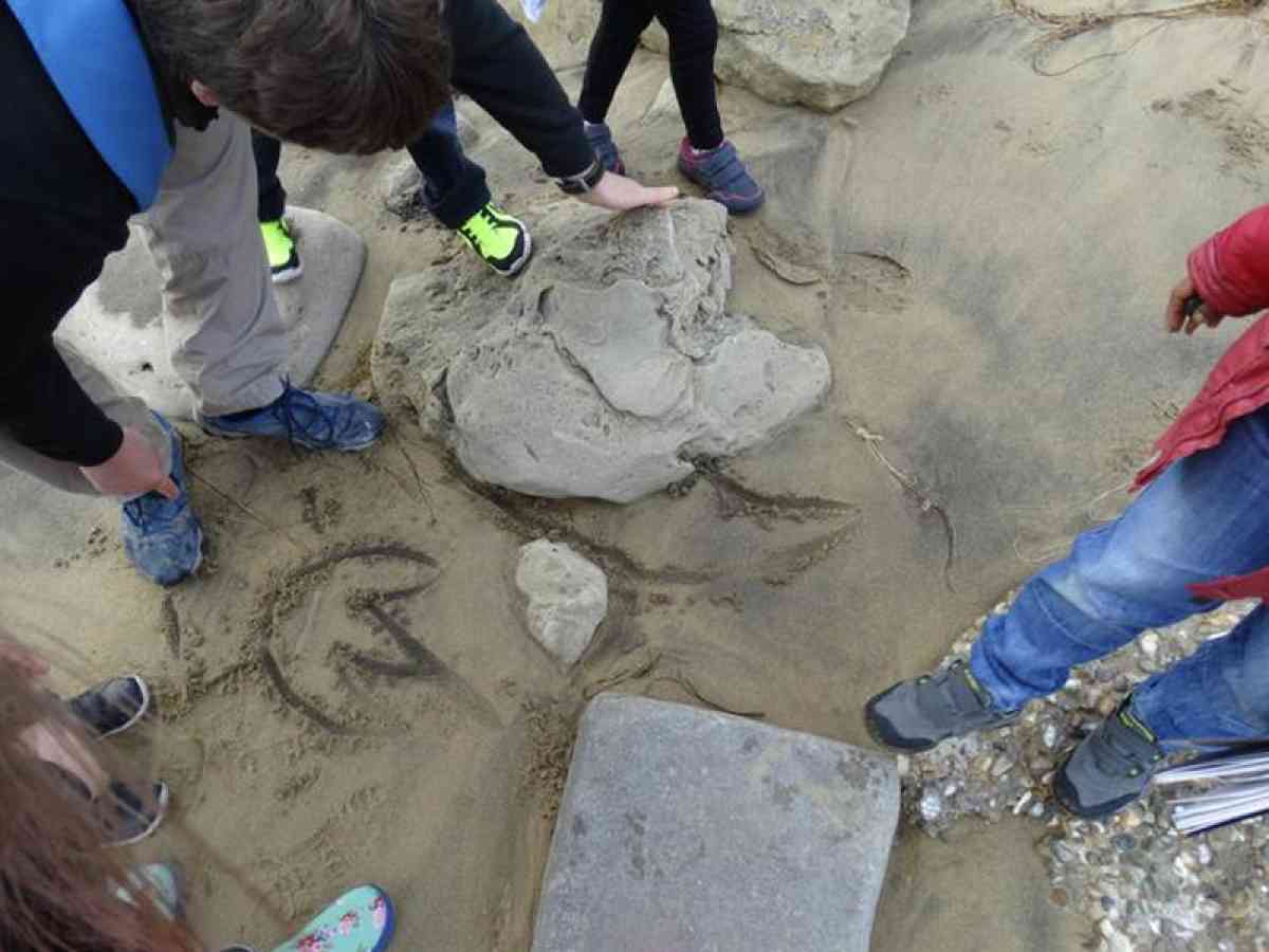 Dinosaur Isle picture gallery